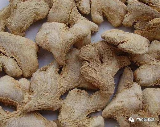 A Discussion on Warming Yang Herbs and Yang Supplementing Herbs