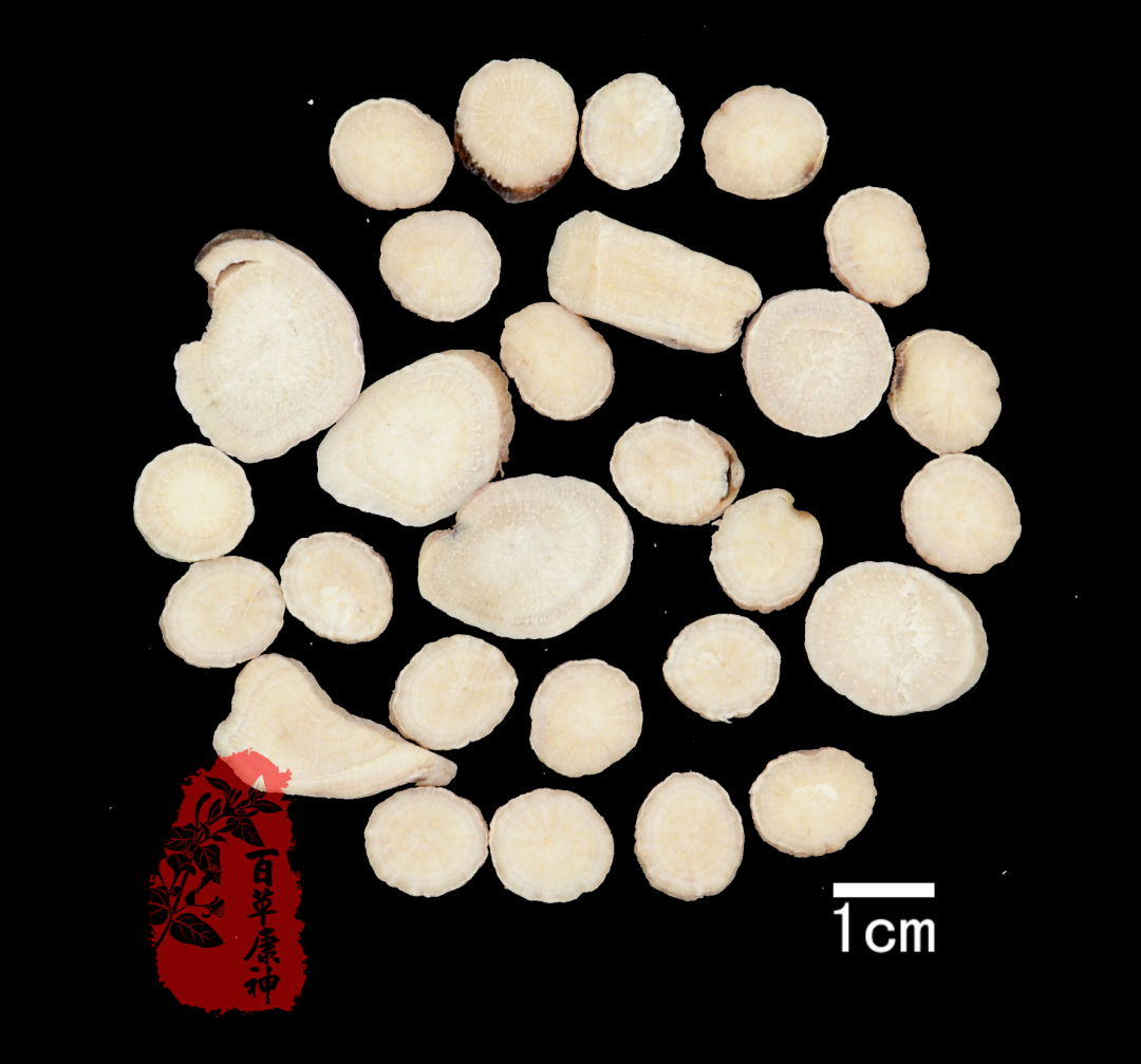 Understanding Bai Shao (White Peony) in Traditional Chinese Medicine