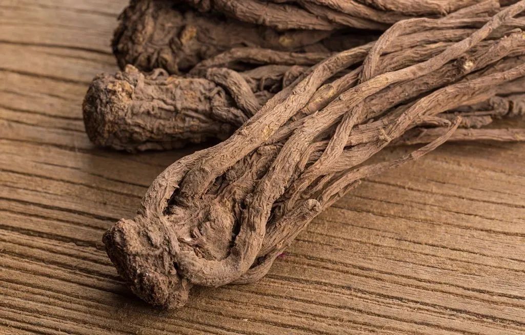 Discussing the Sacred Herb for Women's Health: Angelica Sinensis