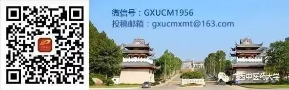 Renowned TCM Practitioner Huang Dingjian: The Efficacy of Fine Needle Acupuncture in Treating Chronic Illness