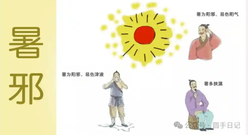 Understanding Summer Heat in Traditional Chinese Medicine