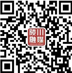 TCM Popular Science | The Efficacy, Functions, and Consumption Methods of Lian Qiao (Forsythia)