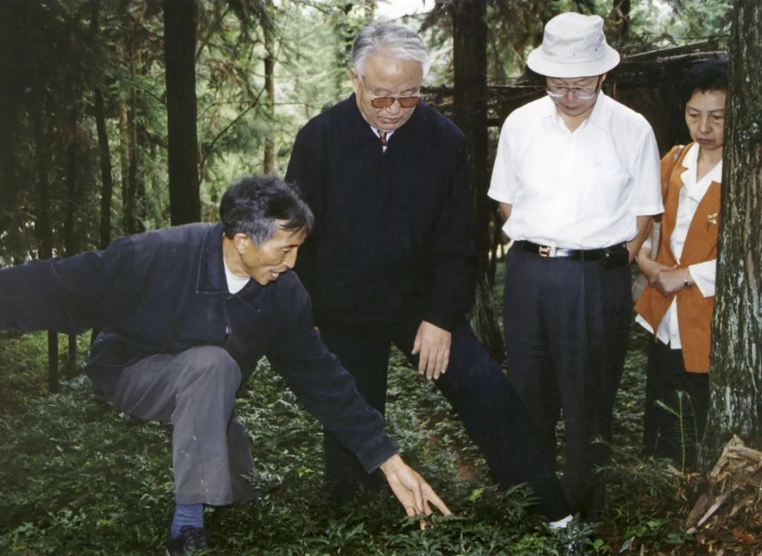 In Memory of Professor Xu Jintang, the Father of Huanglian and Tianma