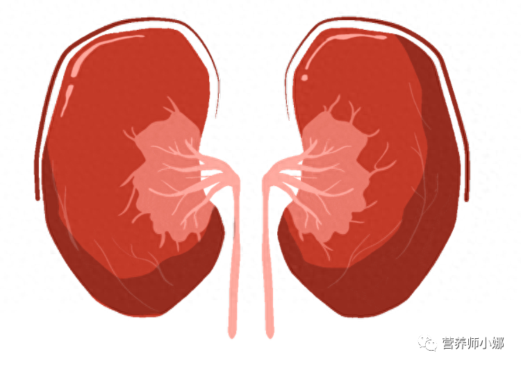 The Dangers of Drinking Astragalus Water: Is It Really Harmful to the Kidneys?