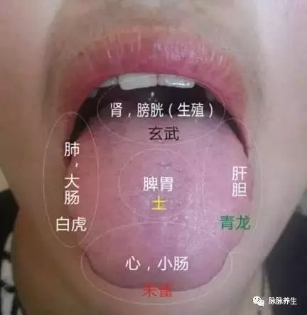 Tongue Diagnosis: A Clear Insight