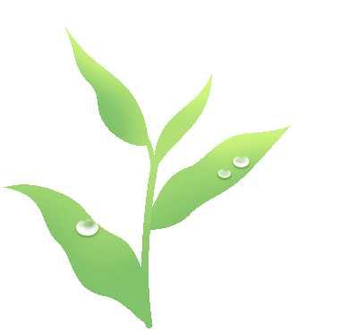 Weekly Herbal Insights: Understanding Honeysuckle in TCM
