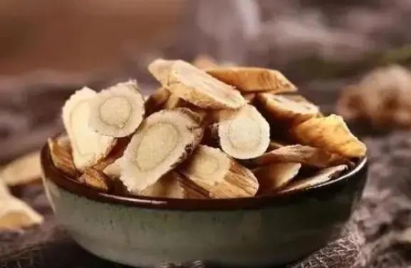 Honeysuckle: A Treasure for Health, Helping You Solve 5 Problems