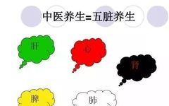 Comprehensive Guide to Nourishing the Five Organs: Heart, Liver, Spleen, Lungs, and Kidneys