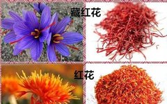 Common Medicinal Herb: Safflower (Honghua)