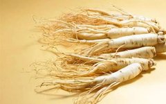 The Sacred Herb for Qi Supplementation