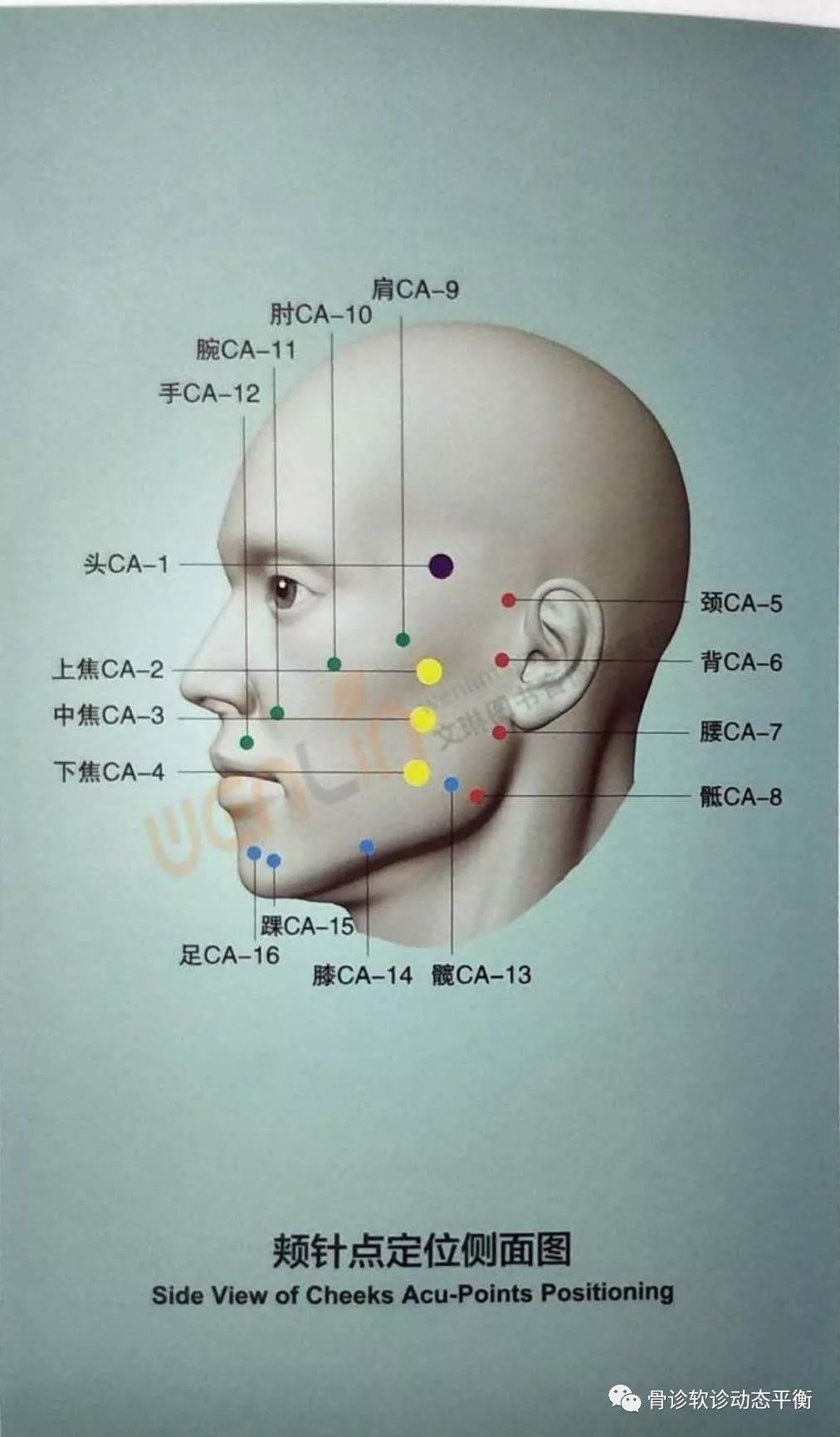 The Scope and Boundaries of the Efficacy of Fine Needling