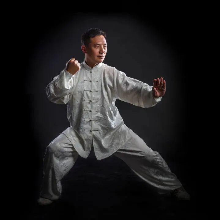 The Harmonious Integration of Yin and Yang in Tai Chi