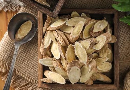 The Six Major Benefits of Drinking Astragalus Tea for Health