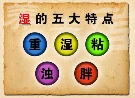 The Yin Qi That Steals Decades from Our Lives (In-Depth Article)