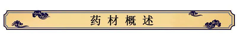 Overview of Astragalus (Huang Qi)