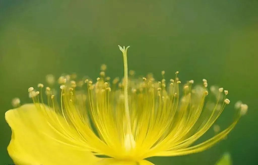 Daoyin Technique: Encountering Your Abundant Self!