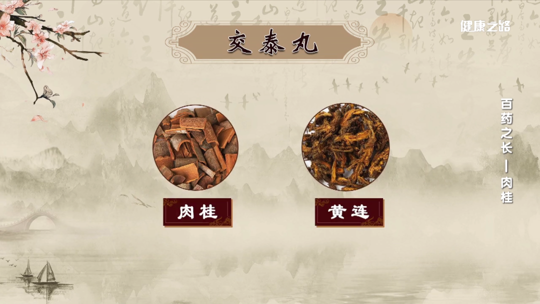 Cinnamon: A Spice Known as the King of Herbs!