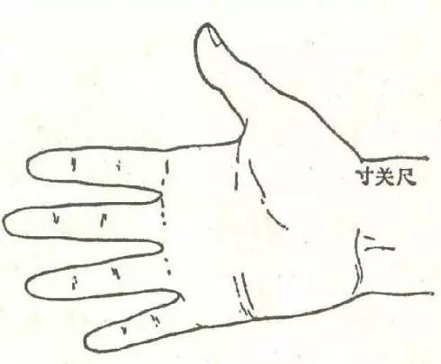 Pulse Diagnosis in Pregnancy and Basic Knowledge of Pulse Diagnosis