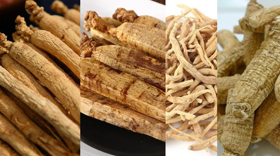 Understanding Ginseng Varieties: Red Ginseng, American Ginseng, and More