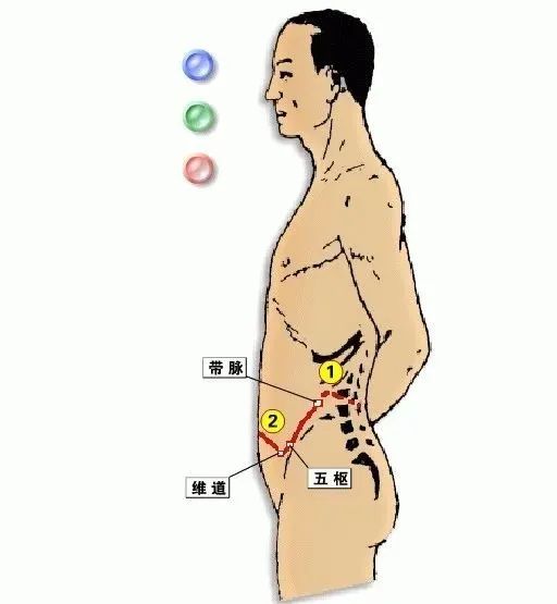 The Eight Extraordinary Meridians: A Major Remedy for Comprehensive Healing, Including Diagrams!
