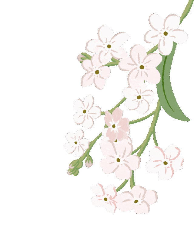 Health Preservation Principles for Spring from the Huangdi Neijing