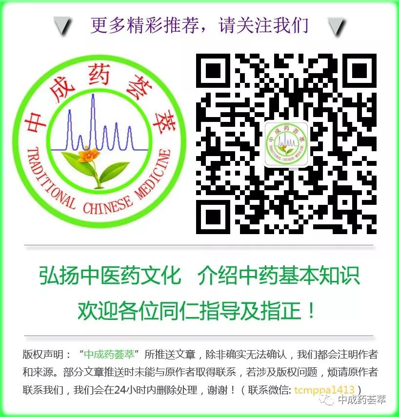 Premium Chinese Medicine | Bai Shao (White Peony)