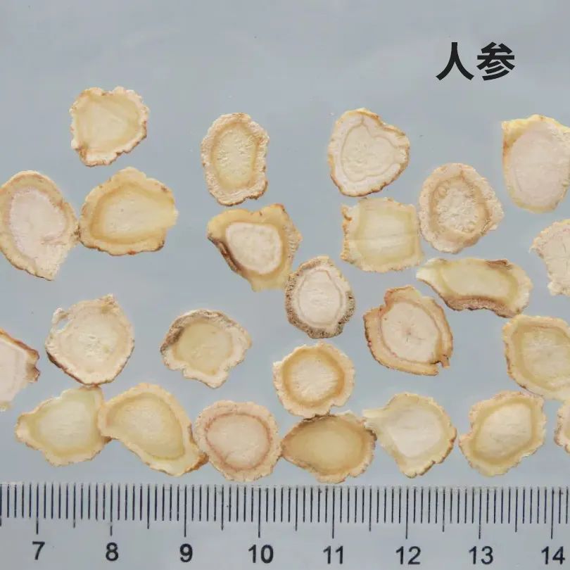 Daily Learning of a Chinese Herb: Ginseng