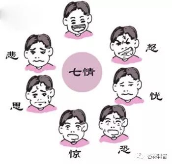 Dr. Ni Haixia Discusses the Characteristics of 'Seven Emotions' as Causes of Disease