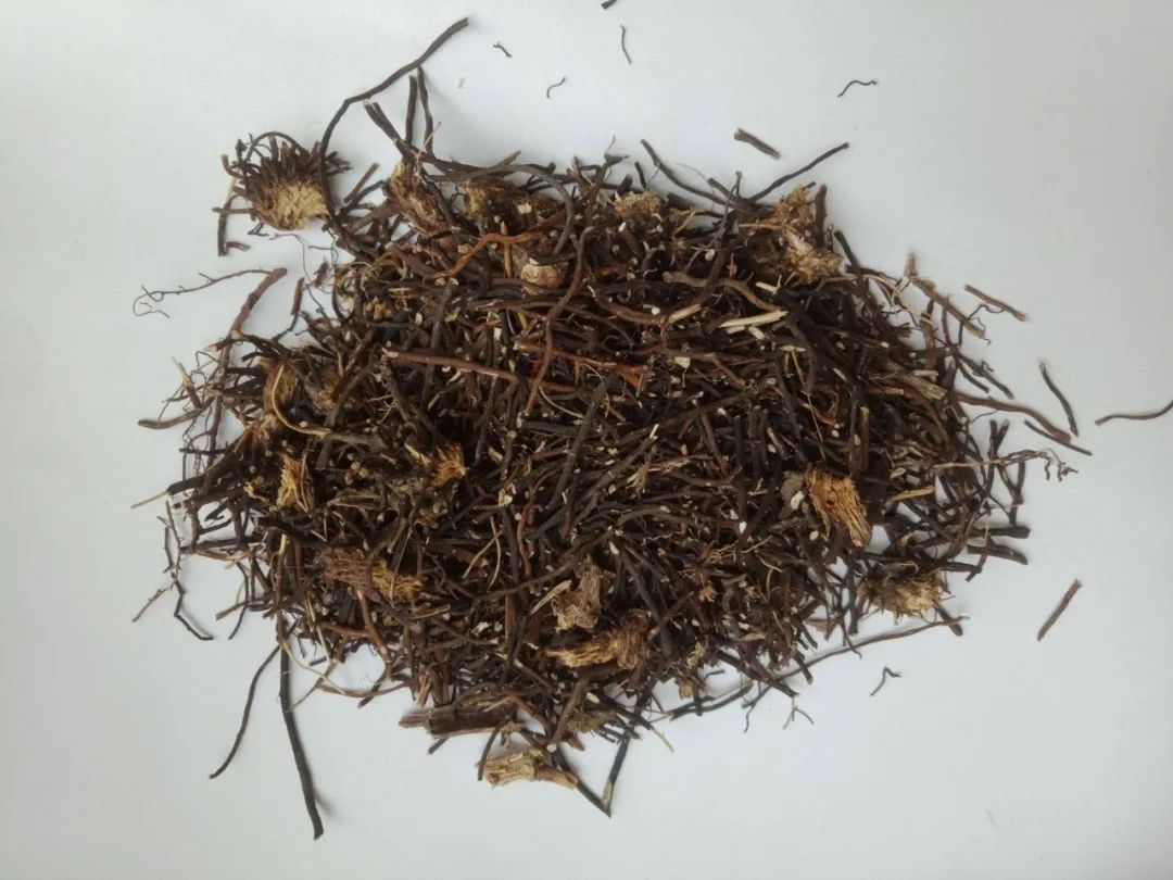 The Most Effective Herbs for Lowering Uric Acid, All Affordable