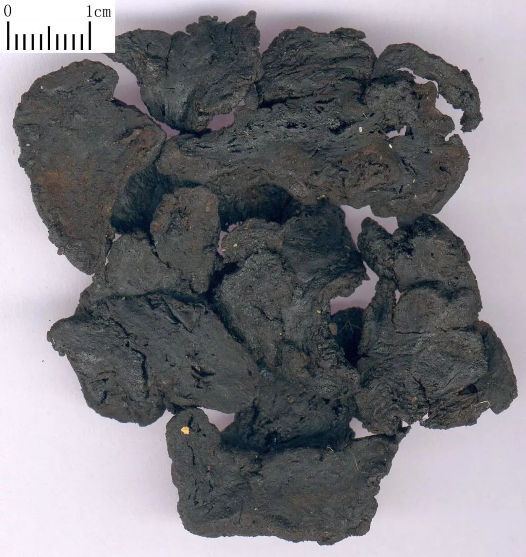 Traditional Chinese Medicine: Blood Nourishing Herbs - Prepared Rehmannia Root