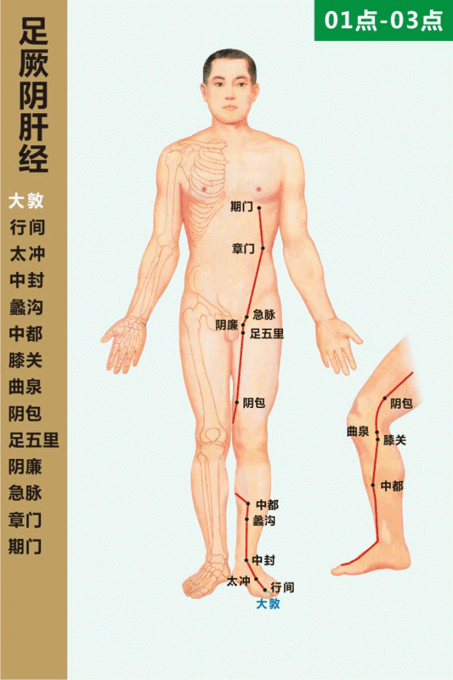 Dynamic Circulation Chart of the Twelve Meridians: Invaluable Insights!