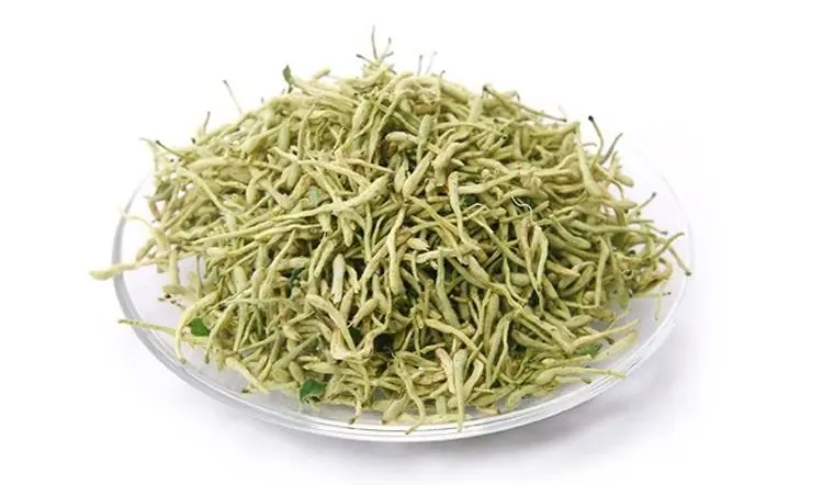 The Efficacy and Functions of Honeysuckle (Jin Yin Hua)
