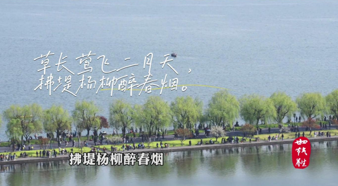 Spring Equinox: Recommended Health-Promoting Dish with Astragalus and River Shrimp