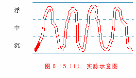 The Twenty-Eight Pulses and All Pulse Patterns in Traditional Chinese Medicine (Animated Illustrations)