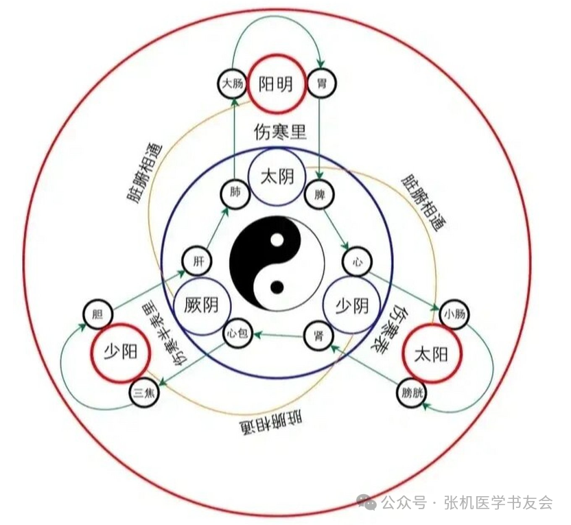 The Eight Principles and Six Meridians in TCM Diagnosis