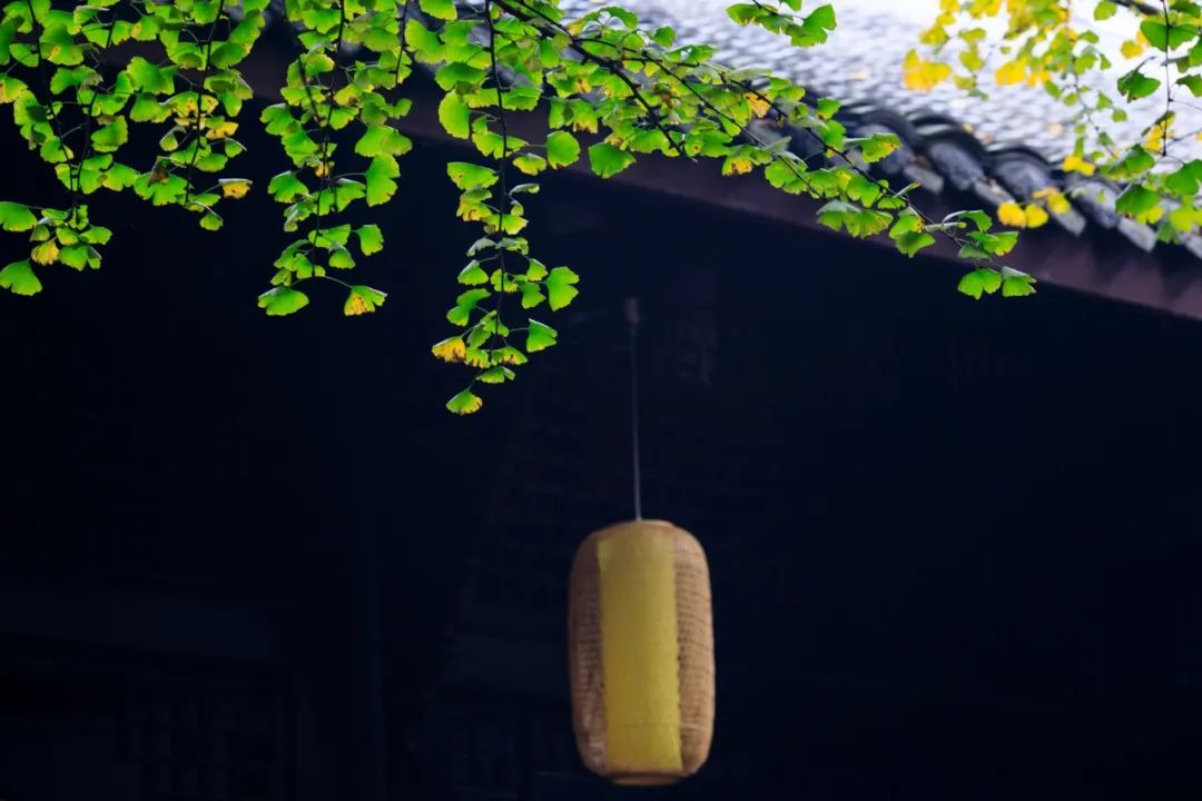 What are the Seven Emotions and Six Desires? The Most Poetic Answer