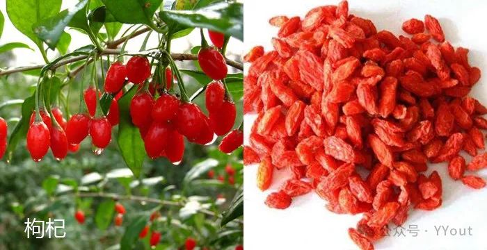 9 Effective Folk Remedies for Treating Anemia in Traditional Chinese Medicine