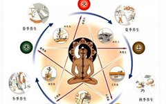 Introduction to the Huangdi Neijing