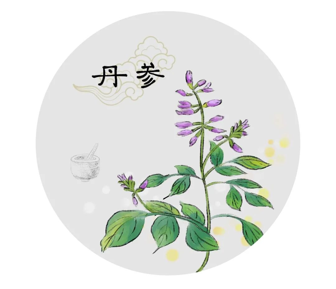 Understanding Medicinal Foods: Activating Blood Circulation and Alleviating Pain