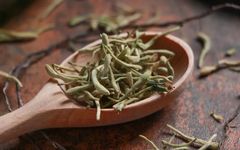 Honeysuckle: A Comprehensive Overview
