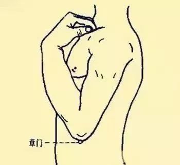 Common Acupuncture Points and Their Effects! (Illustrated Version)