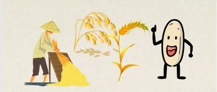 Nourishing Health: Eating Grains to Support Organs