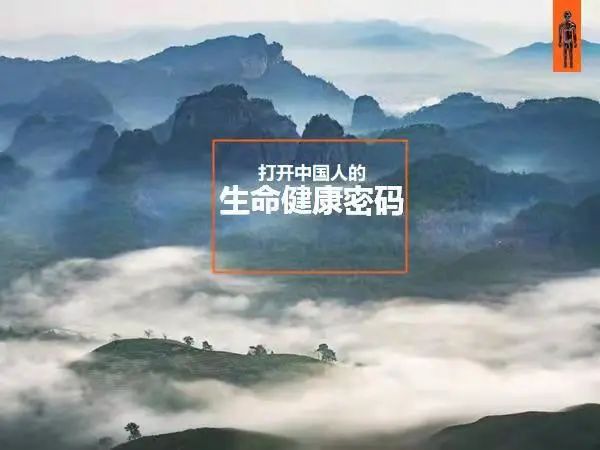 The Ancient Medical Techniques of Traditional Chinese Medicine