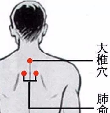 50 Common Acupuncture Points for Treating Various Ailments