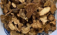 Learn About a Chinese Herb Every Day: Cang Zhu (Atractylodes)