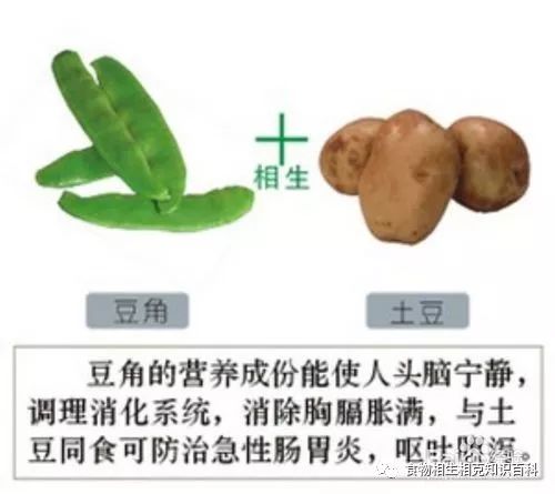 A Comprehensive Guide to Complementary and Contradictory Foods in TCM