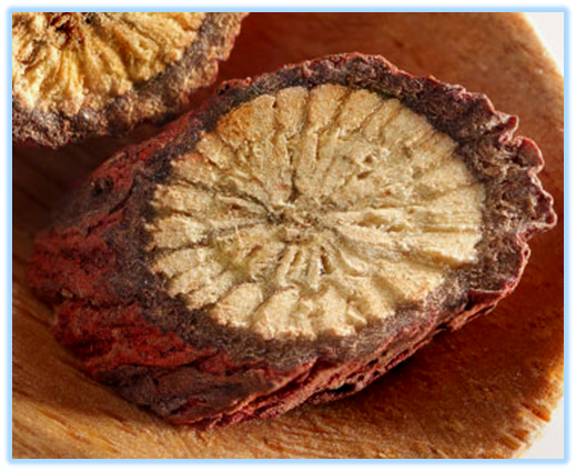 Essential Knowledge of Chinese Medicine: Dan Shen