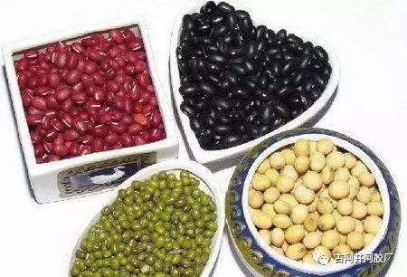 Understanding the Classification of Human Constitution in TCM