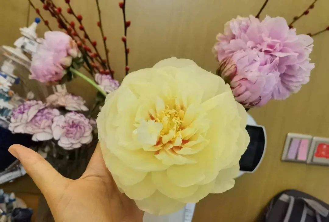 The Arrival of Peony Season: A Beautiful and Valuable Traditional Chinese Medicine