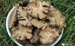 The Efficacy and Functions of Chuanxiong (Ligusticum chuanxiong)